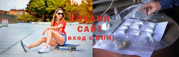 хмурый Белокуриха