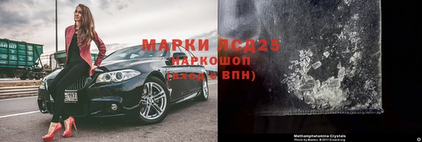 хмурый Белокуриха