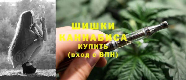хмурый Белокуриха