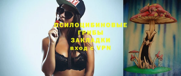 хмурый Белокуриха