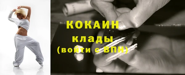 хмурый Белокуриха