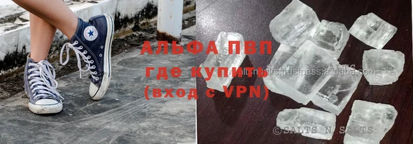 хмурый Белокуриха
