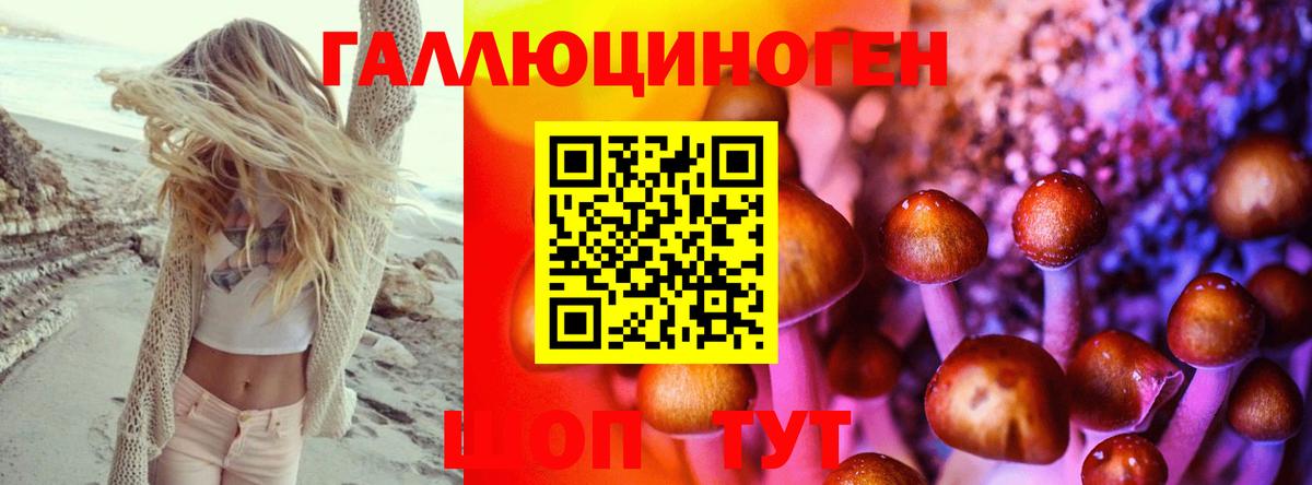 Галлюциногенные грибы прущие грибы  Вход с VPN  Бузулук 